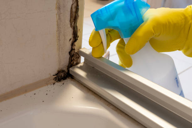 Best Residential Mold Removal  in Fort Mitchell, KY