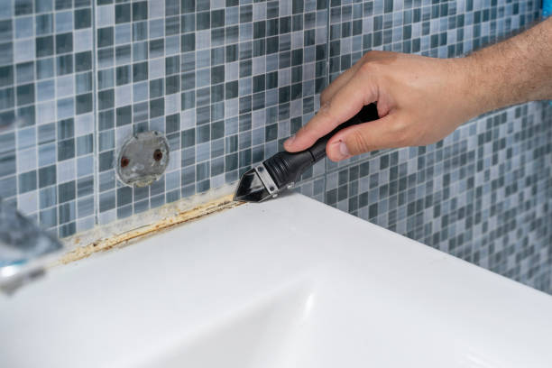 Best Toxic Mold Removal  in Fort Mitchell, KY