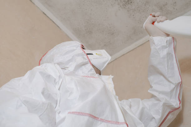 Best Mold Removal Company Near Me  in Fort Mitchell, KY